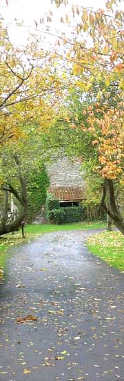 Bel Moony fiction Books