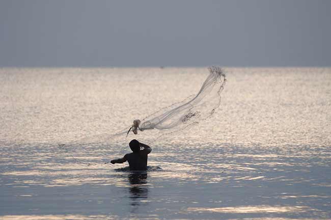 netting at sunset